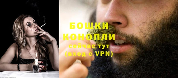 спиды Бородино