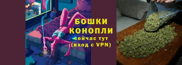 таблы Богородицк
