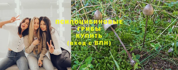 дмт Богородск