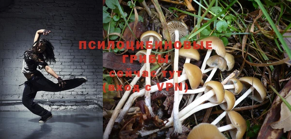 PSILOCYBIN Богданович