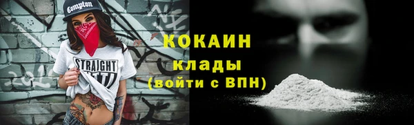 дмт Богородск