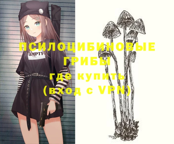 дмт Богородск