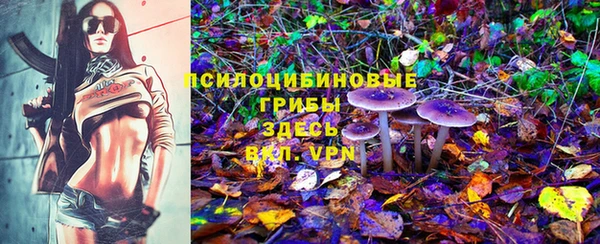 PSILOCYBIN Богданович