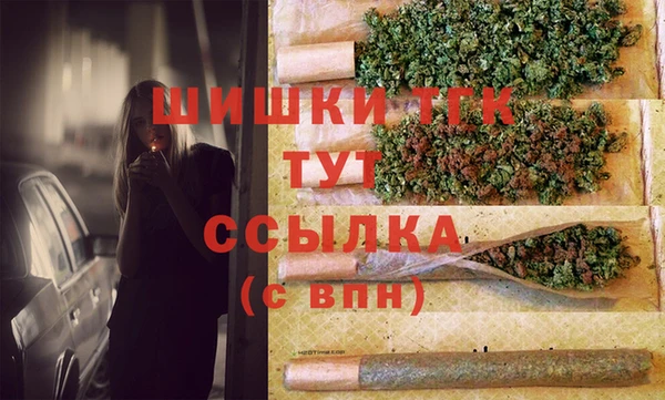 спиды Бородино