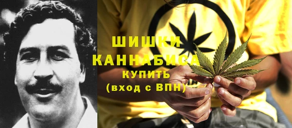 ГАЛЛЮЦИНОГЕННЫЕ ГРИБЫ Бугульма