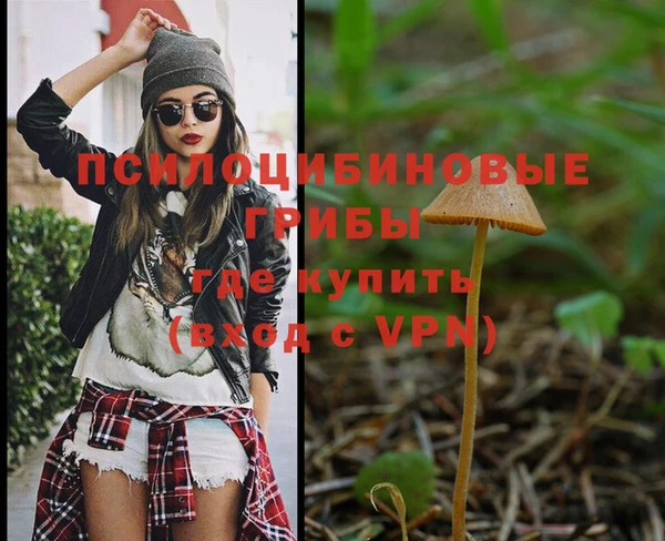 PSILOCYBIN Богданович